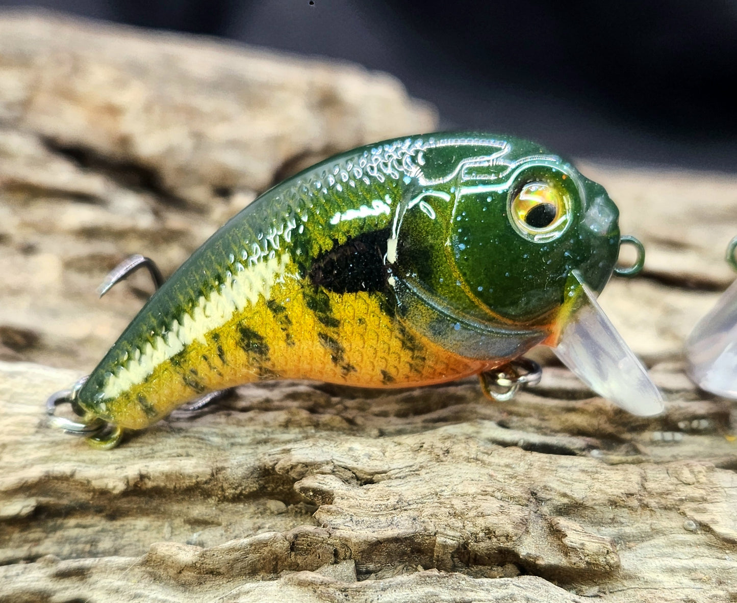 Bass Pro XPS Egg Wake ko