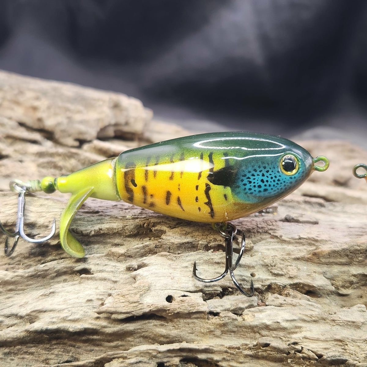 Berkeley Choppo repaint