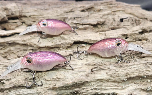 Megabass Griffon MR-X ko BFS