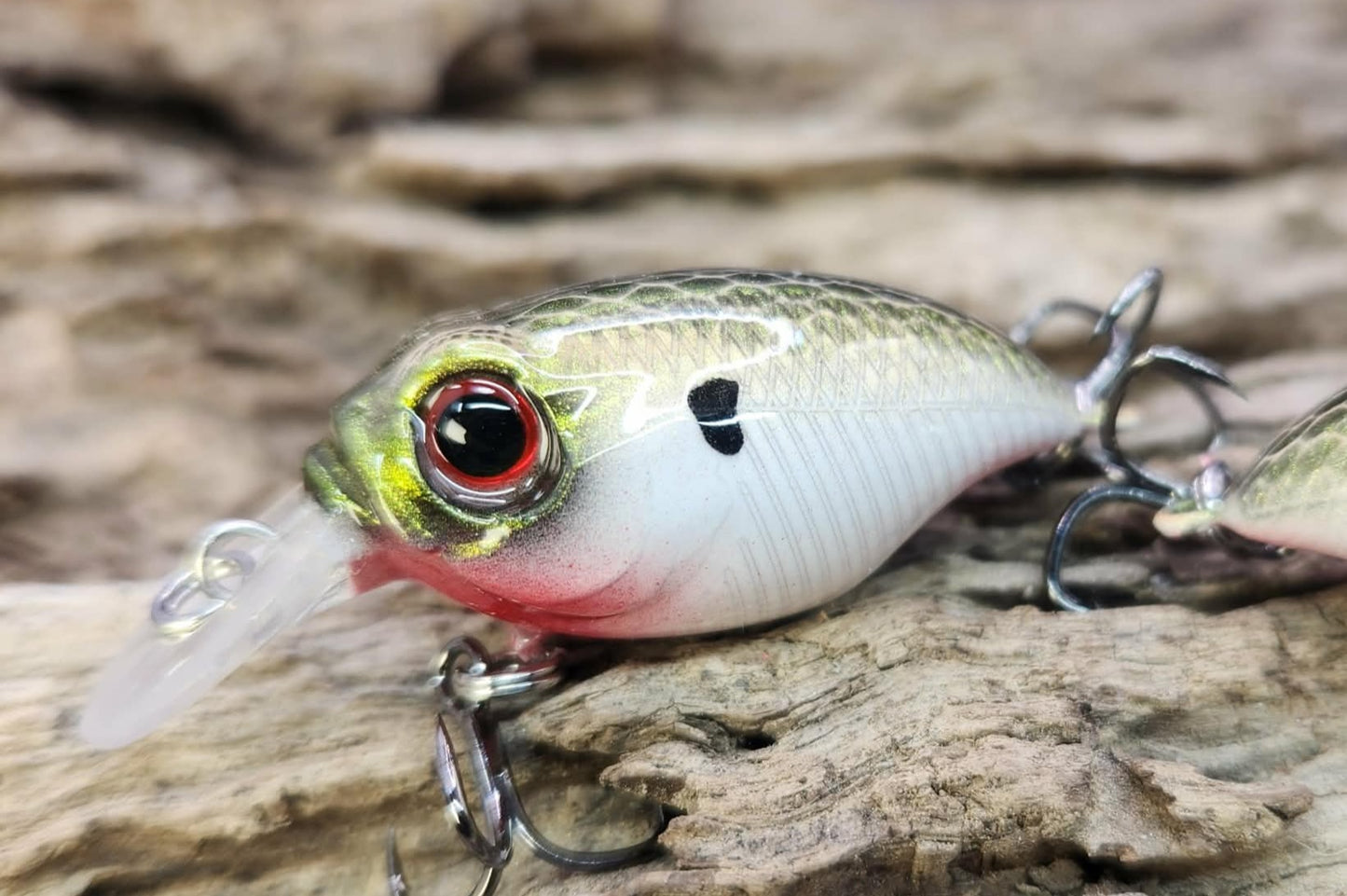 Megabass Griffon ko BFS