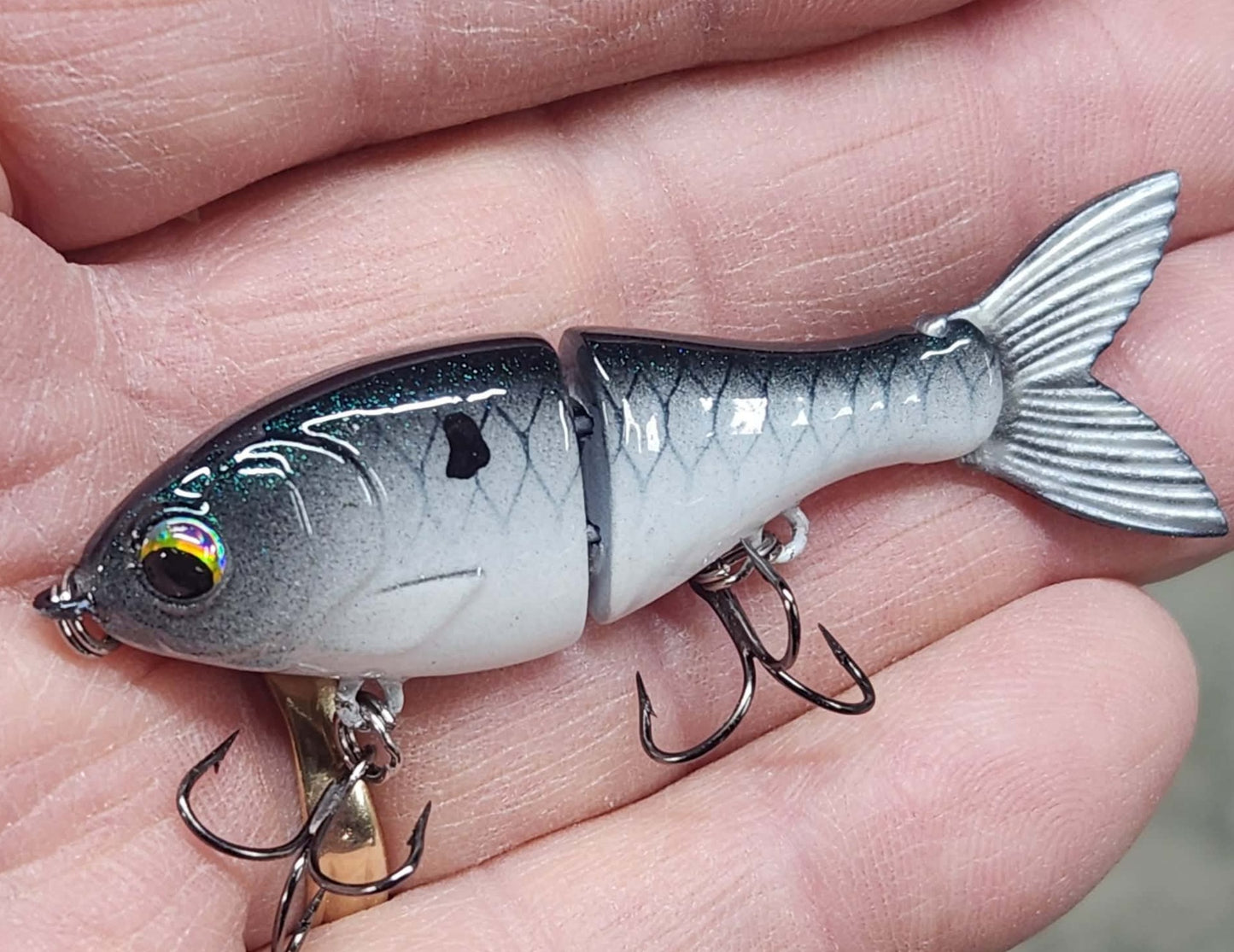 Bucca 2.5" BFS Trick Shad