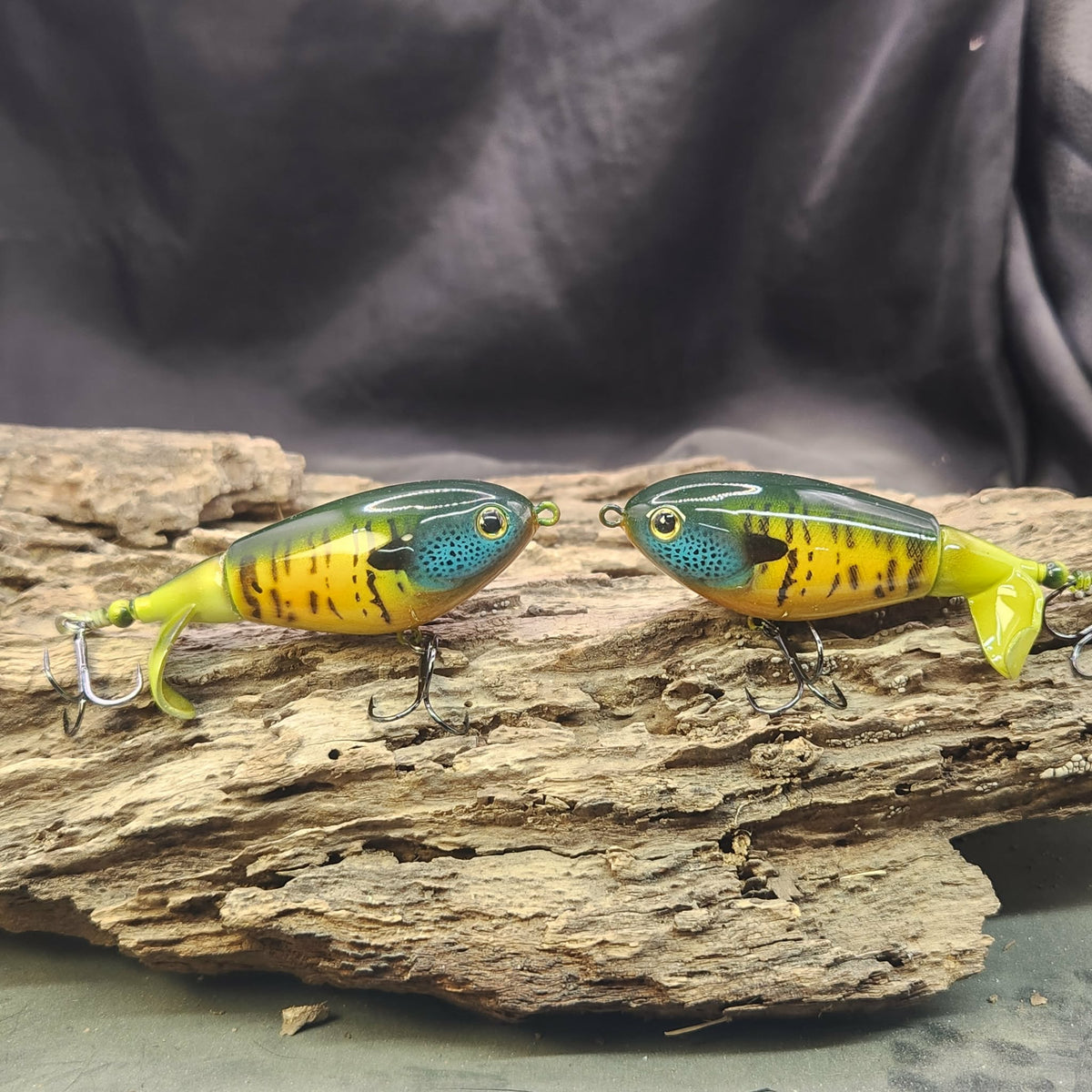 Berkeley Choppo repaint