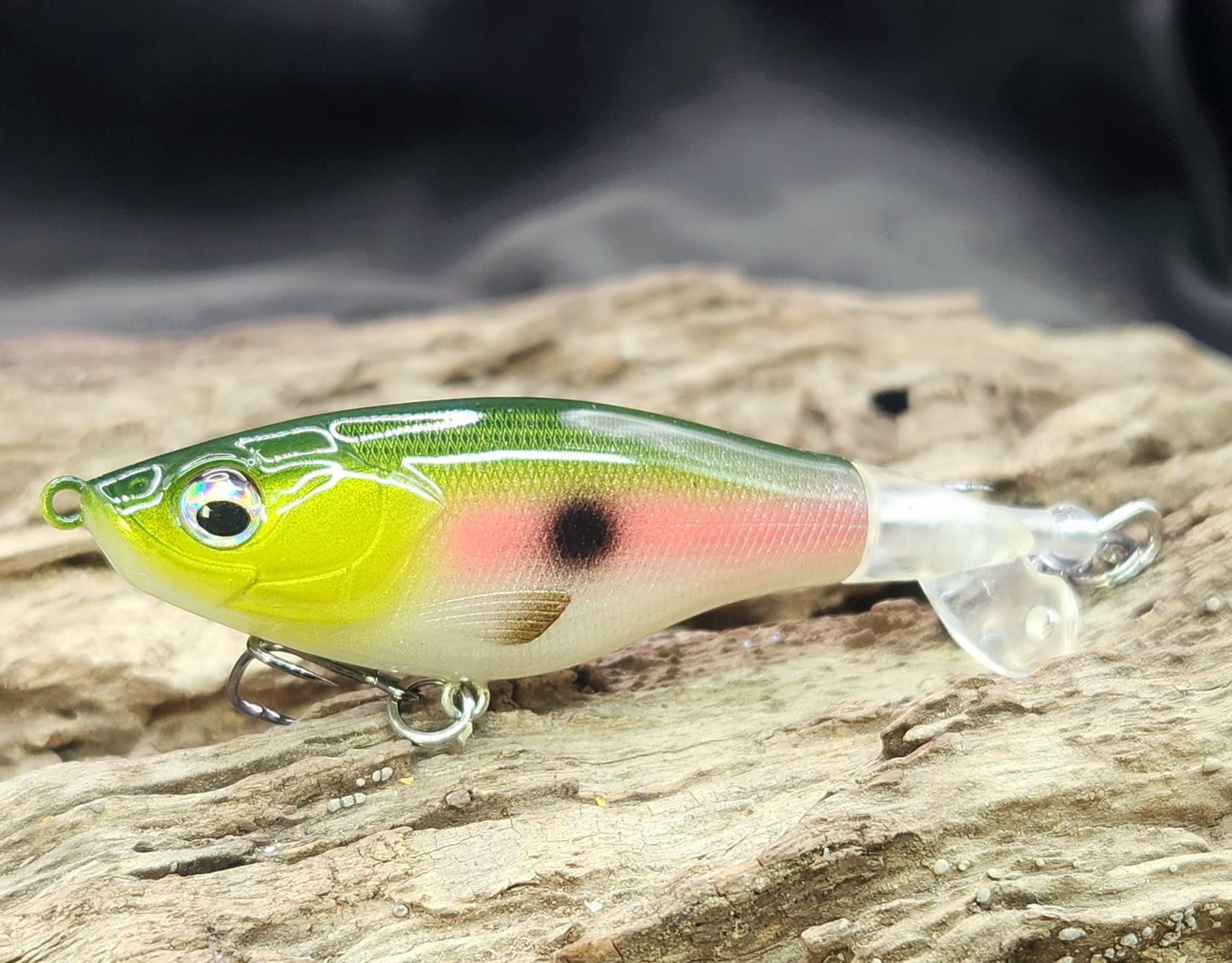 Show Me Creeks Bundle