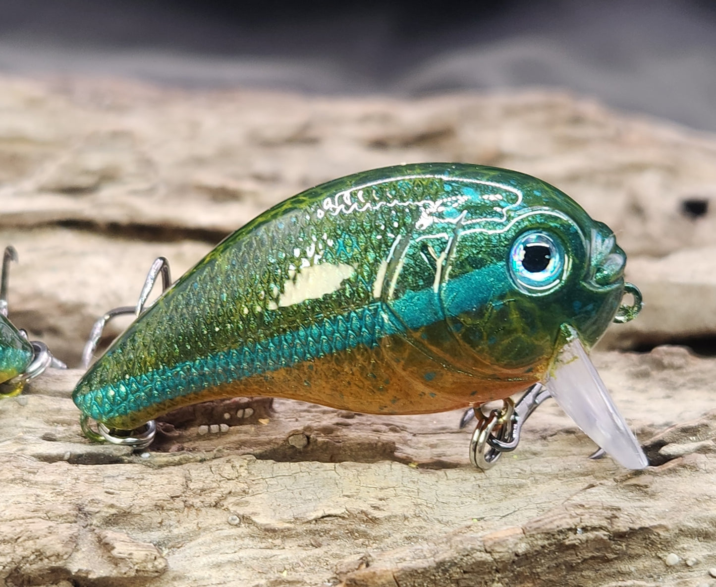 Bass Pro XPS Egg Wake ko