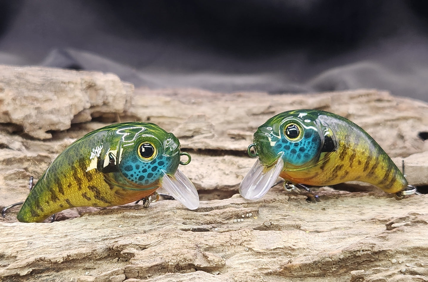 Bass Pro XPS Egg Wake ko