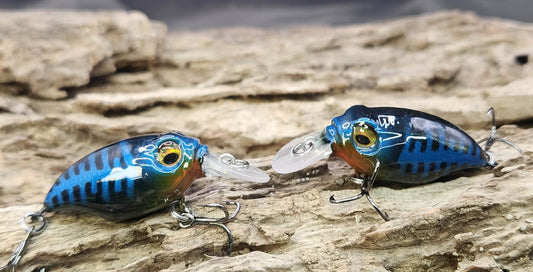 Megabass Griffon ko BFS