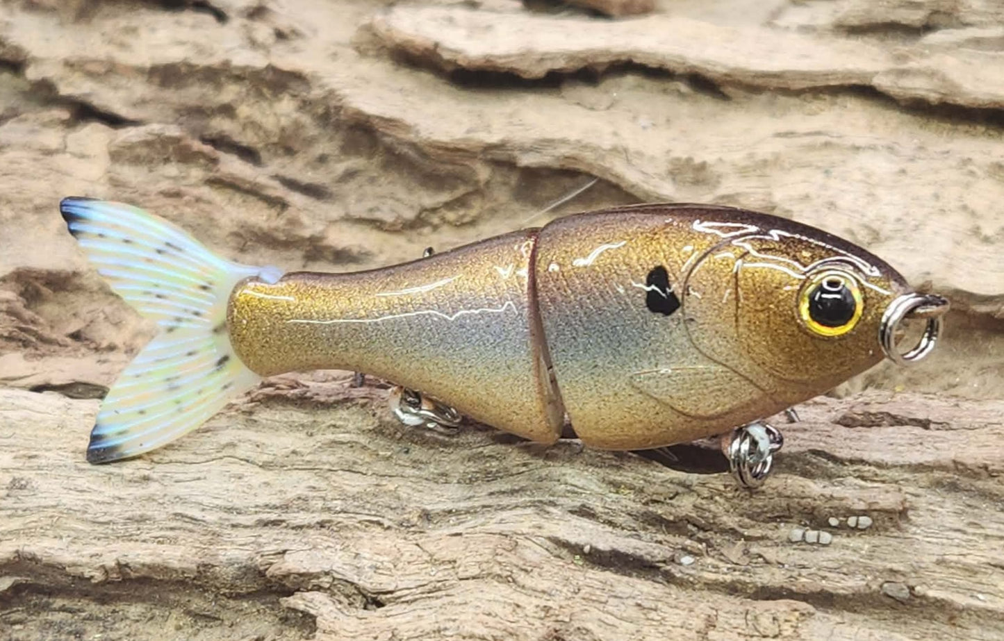 Bucca 2.5" BFS Trick Shad