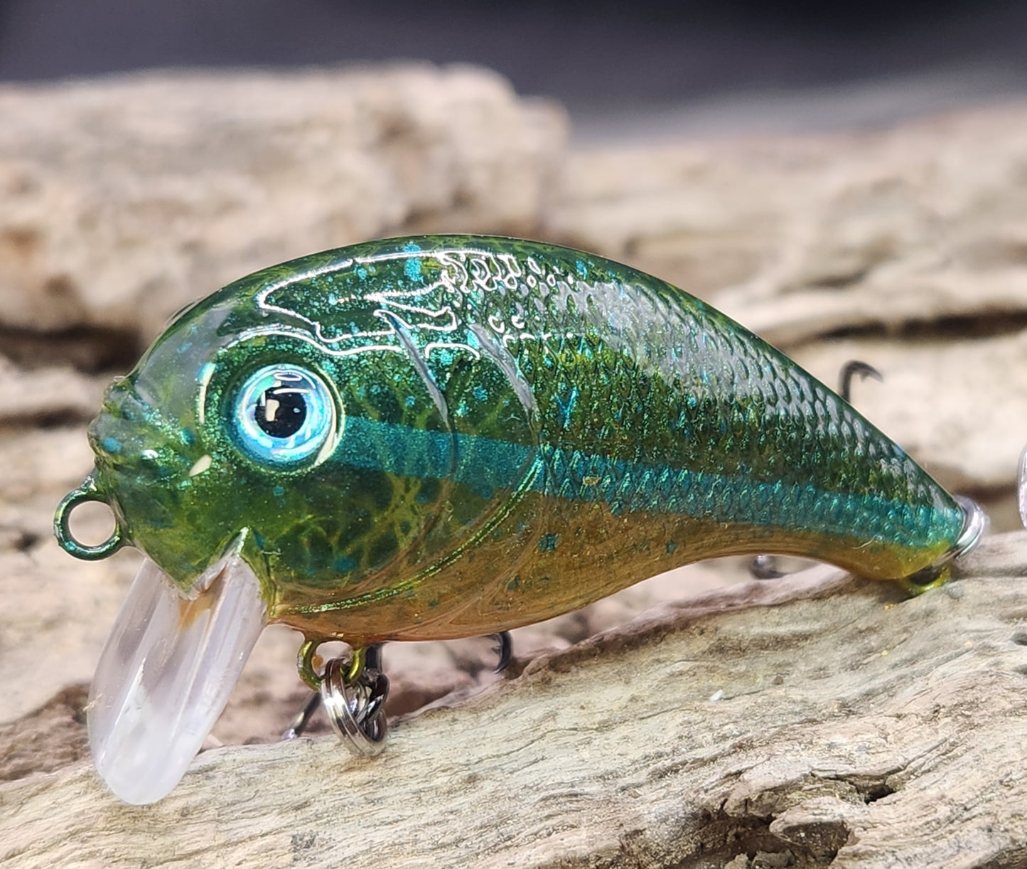 Bass Pro XPS Egg Wake ko