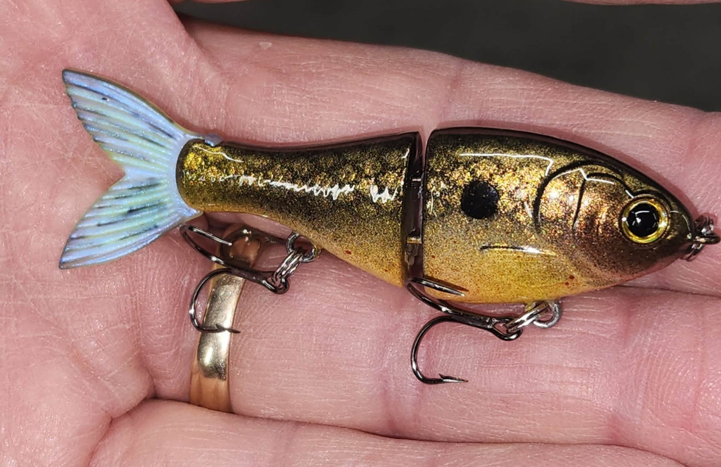 Bucca 2.5" BFS Trick Shad