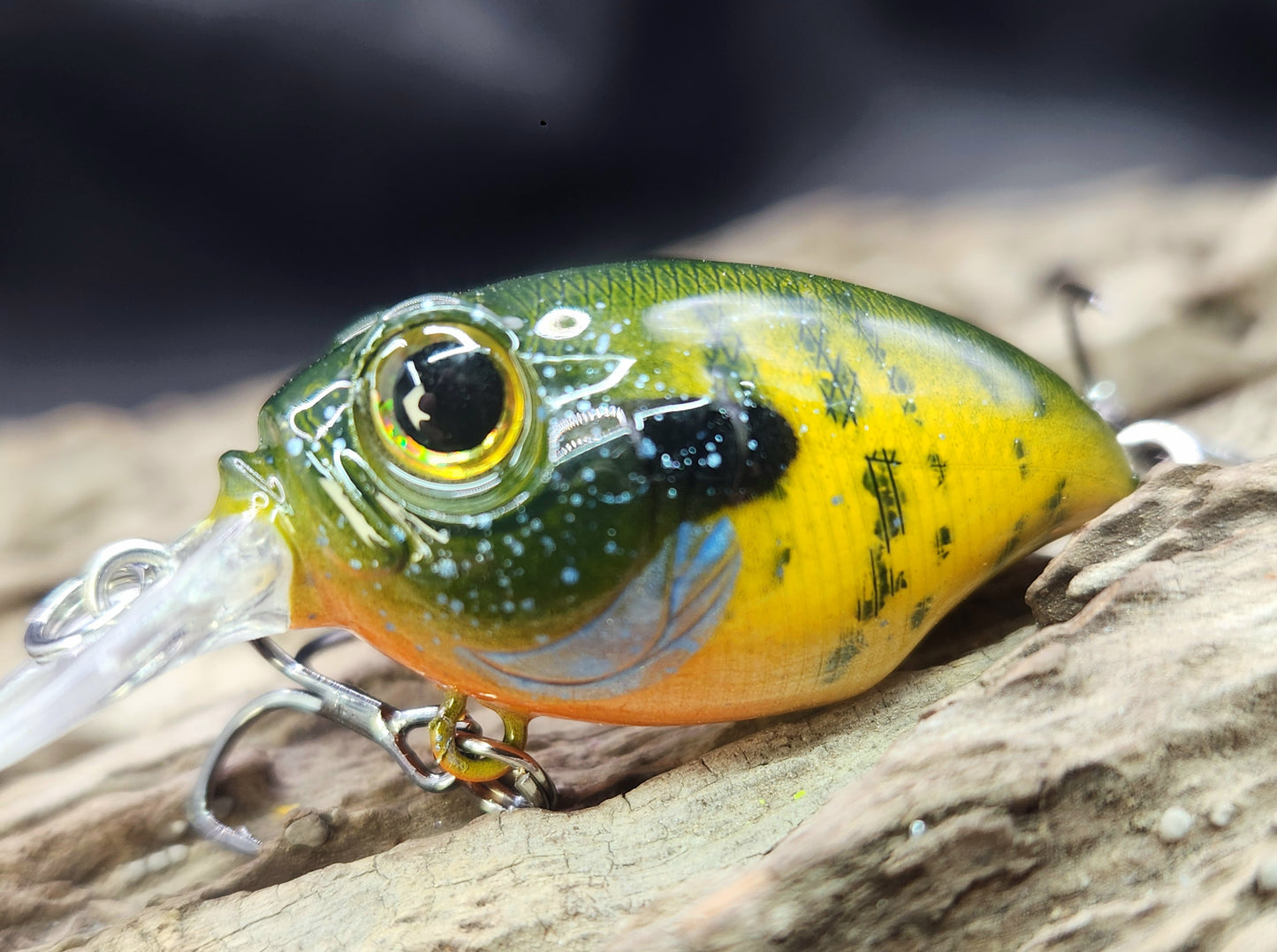 Megabass Griffon ko