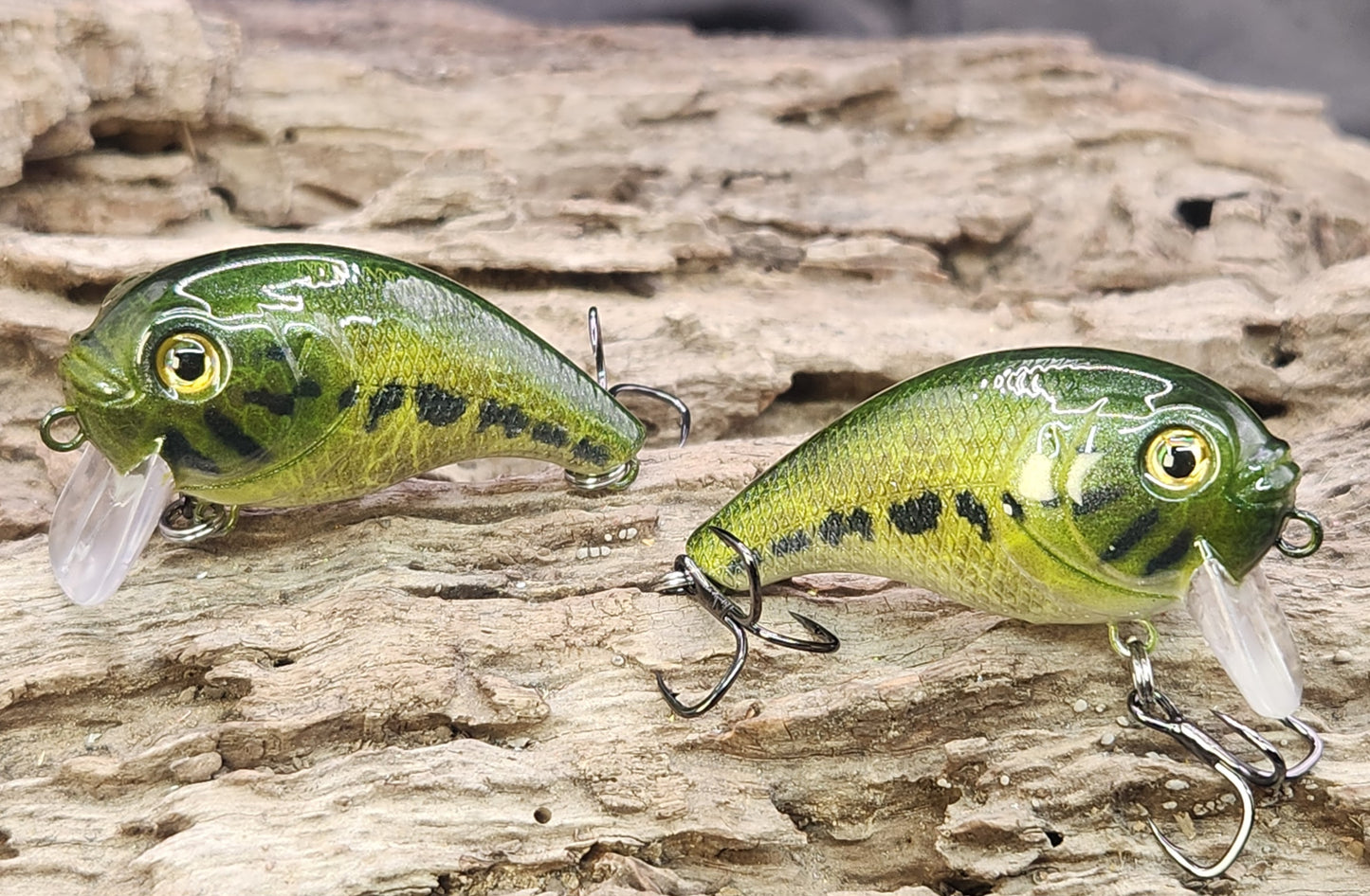 Bass Pro XPS Egg Wake ko
