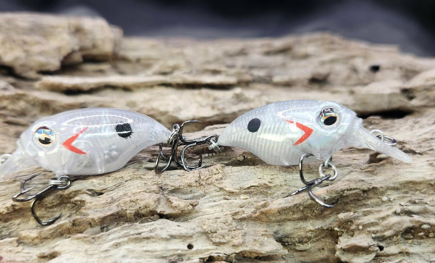 Megabass Griffon BFS ko