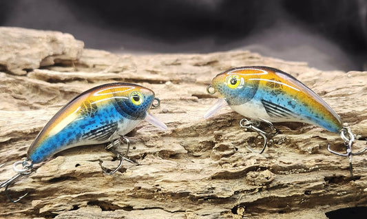 Mann's Baby 1 Minus ko