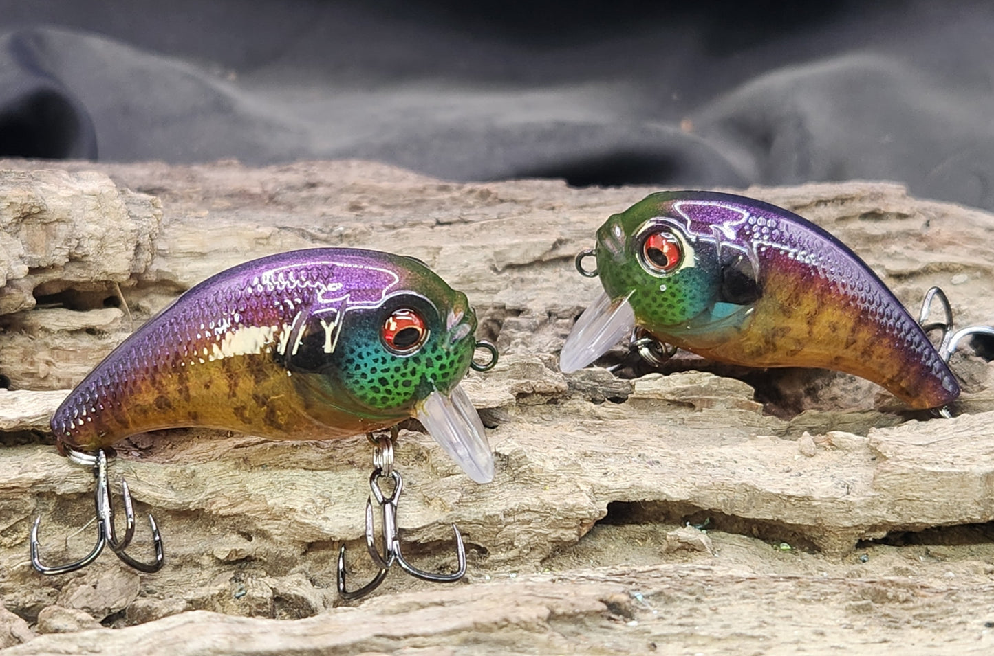 Bass Pro XPS Egg Wake ko
