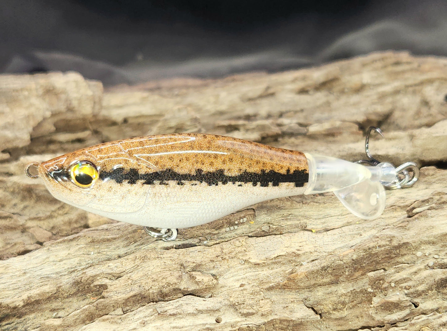 Show Me Creeks Bundle