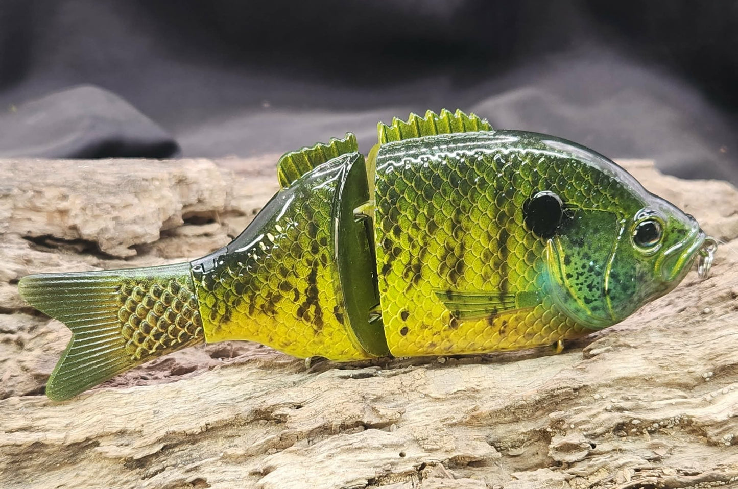 Baitsanity Explorer Gill repaint