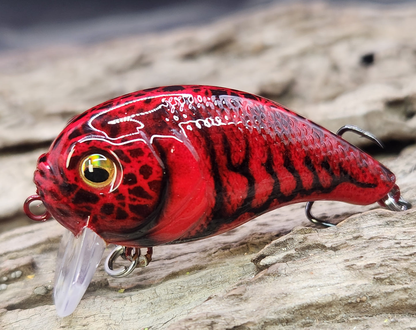 Bass Pro XPS Egg Wake ko
