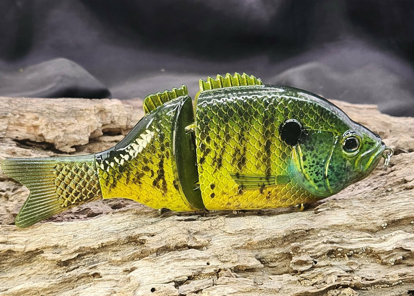 Baitsanity Explorer Gill repaint