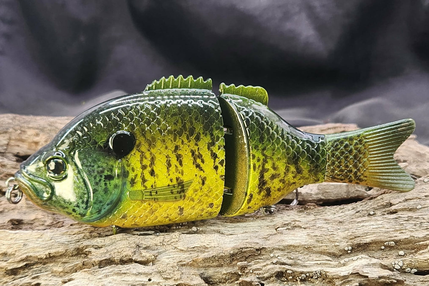 Baitsanity Explorer Gill repaint