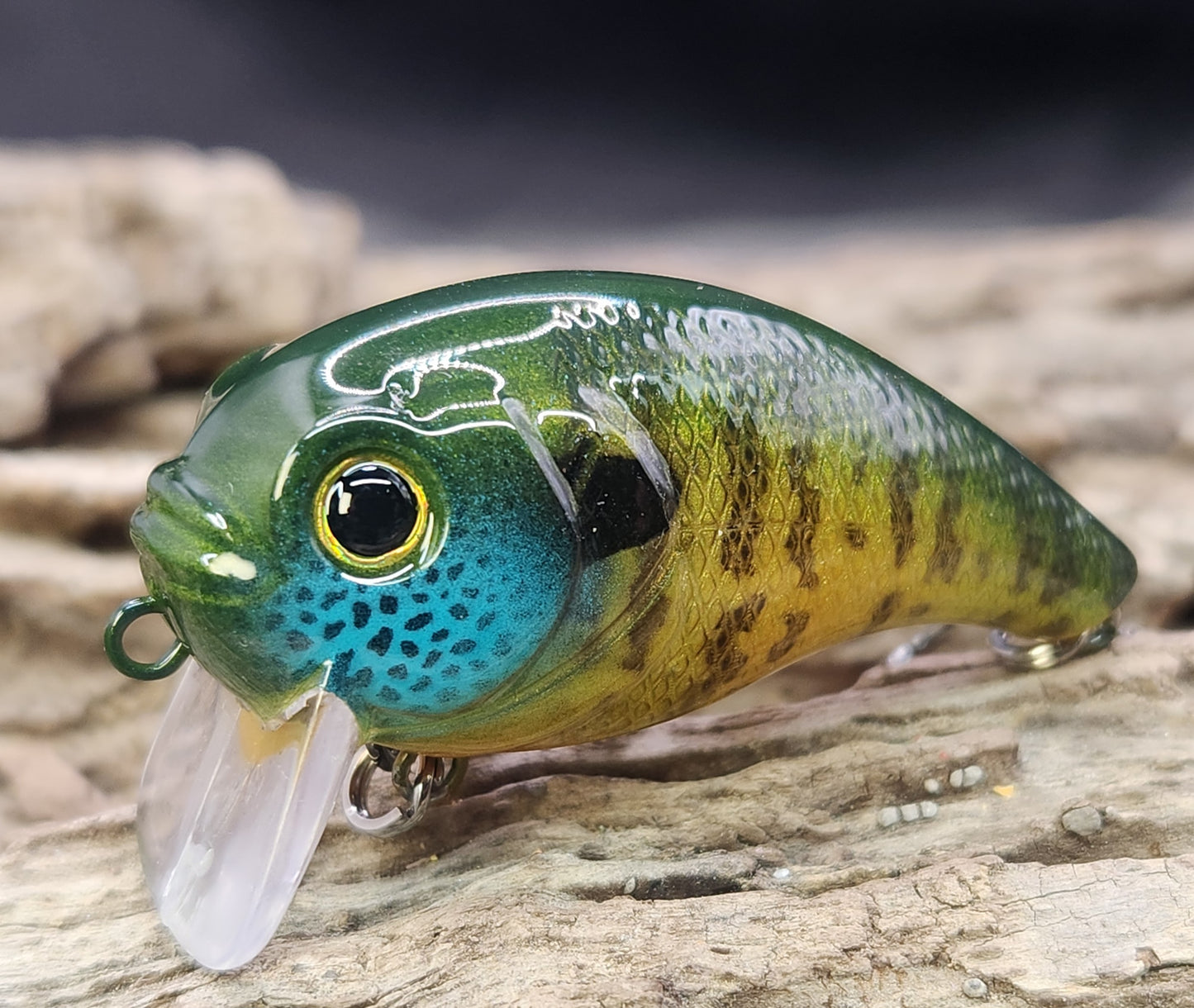 Bass Pro XPS Egg Wake ko