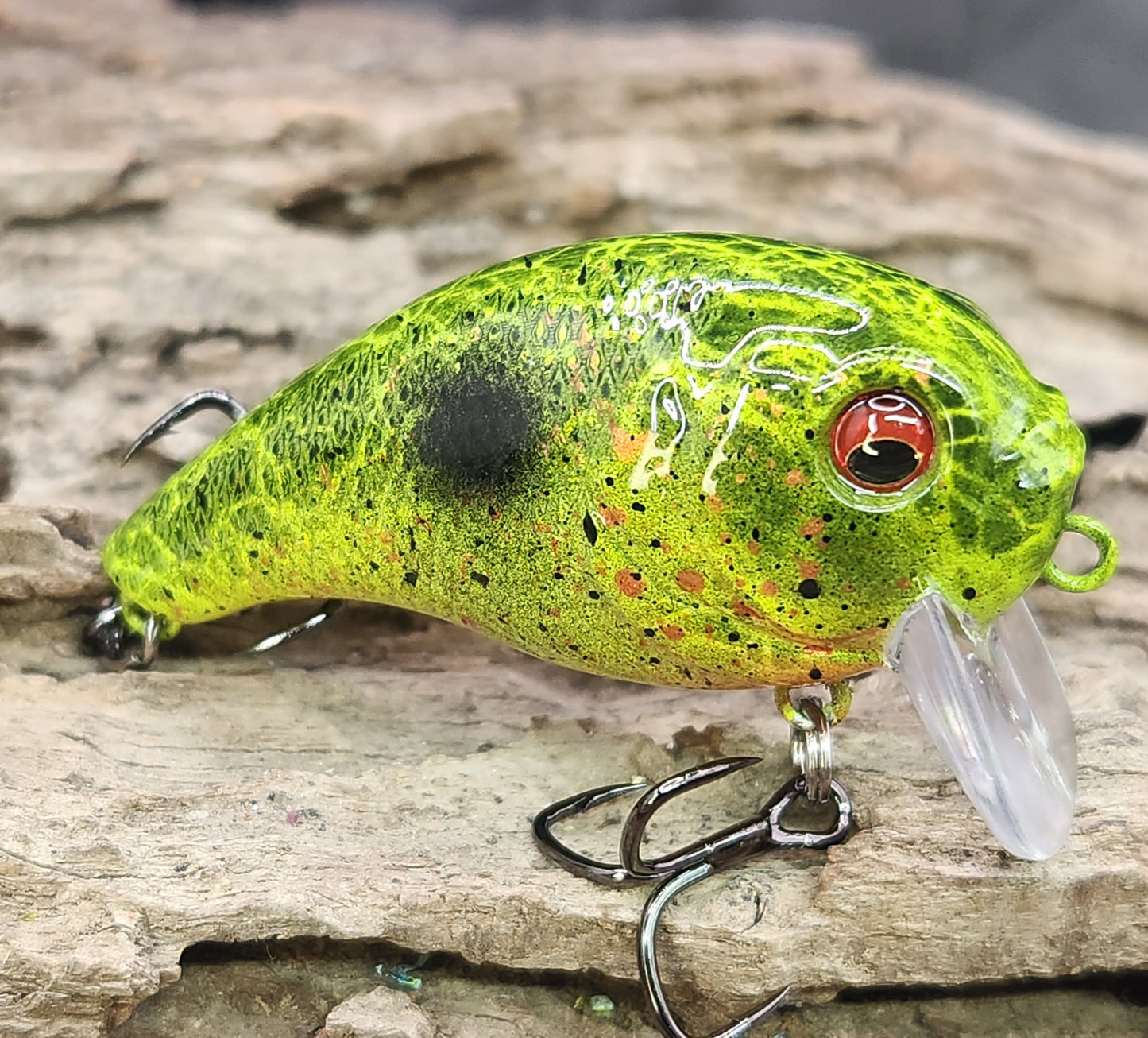 Bass Pro XPS Egg Wake ko