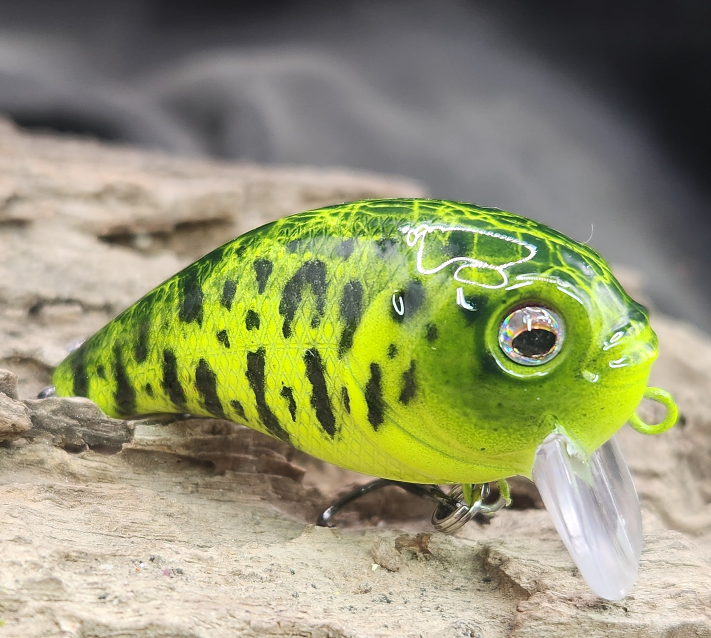 Bass Pro XPS Egg Wake ko