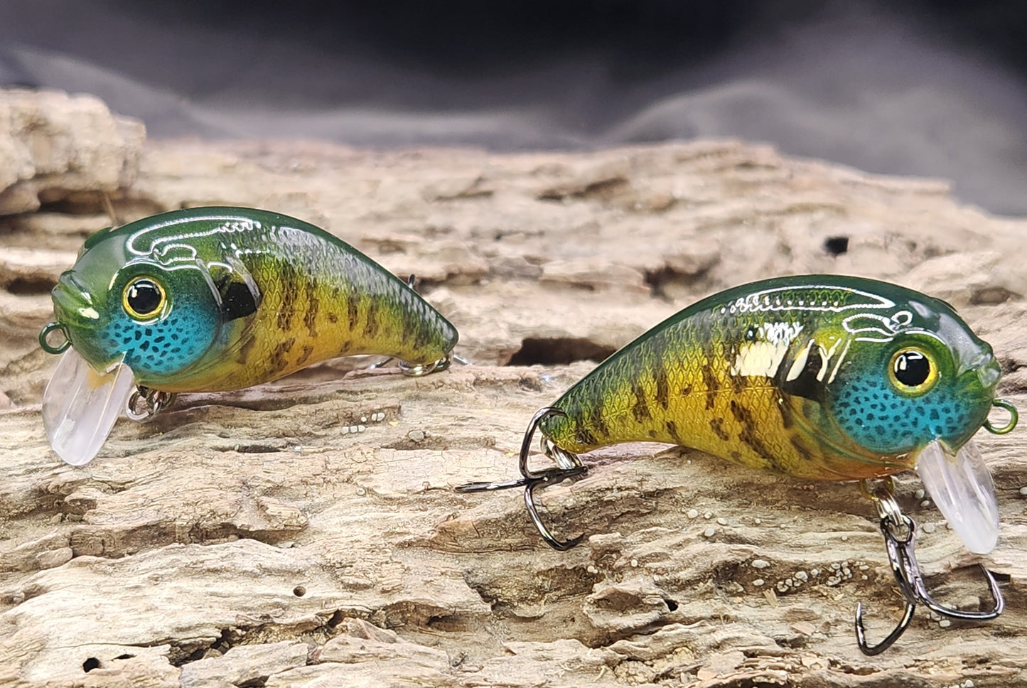 Bass Pro XPS Egg Wake ko