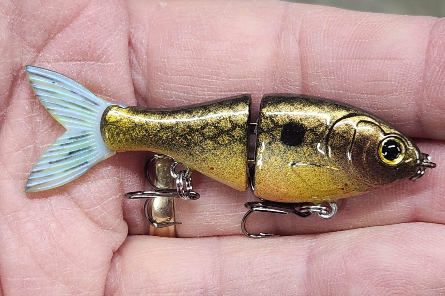 Bucca 2.5" BFS Trick Shad