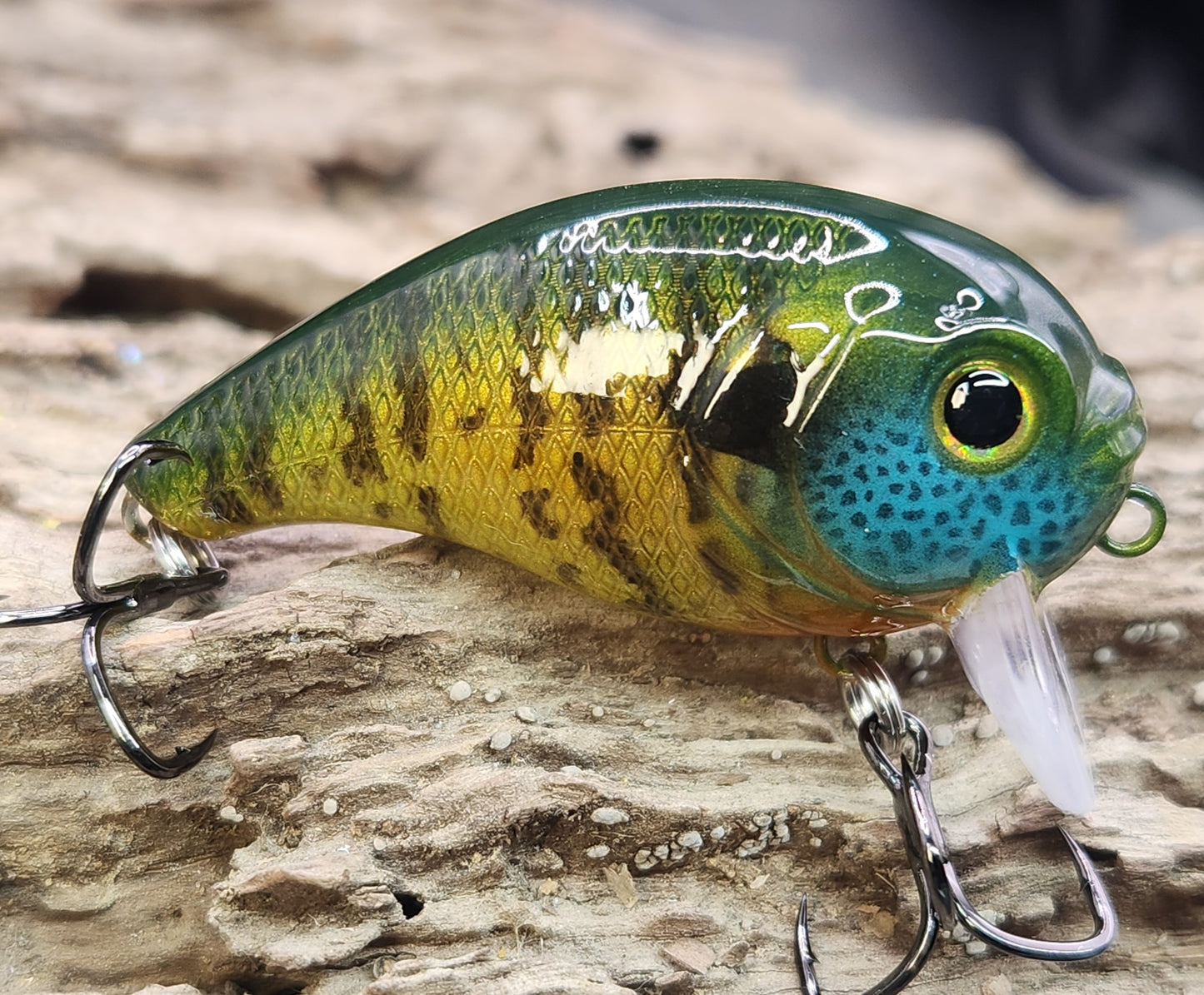 Bass Pro XPS Egg Wake ko