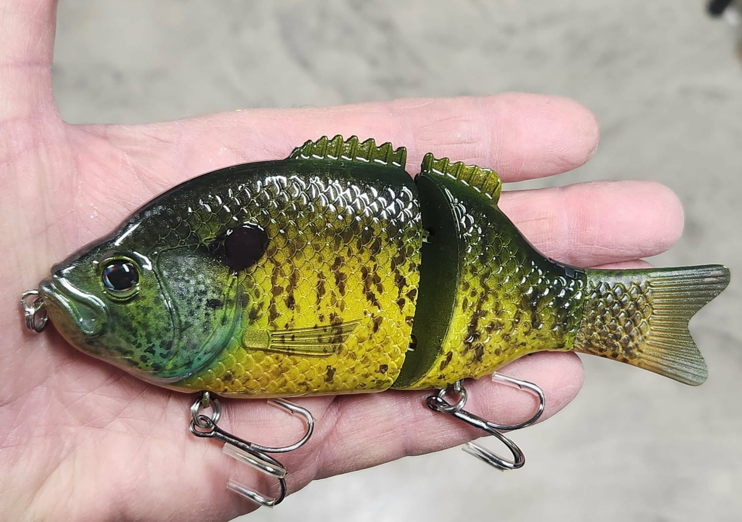 Baitsanity Explorer Gill repaint