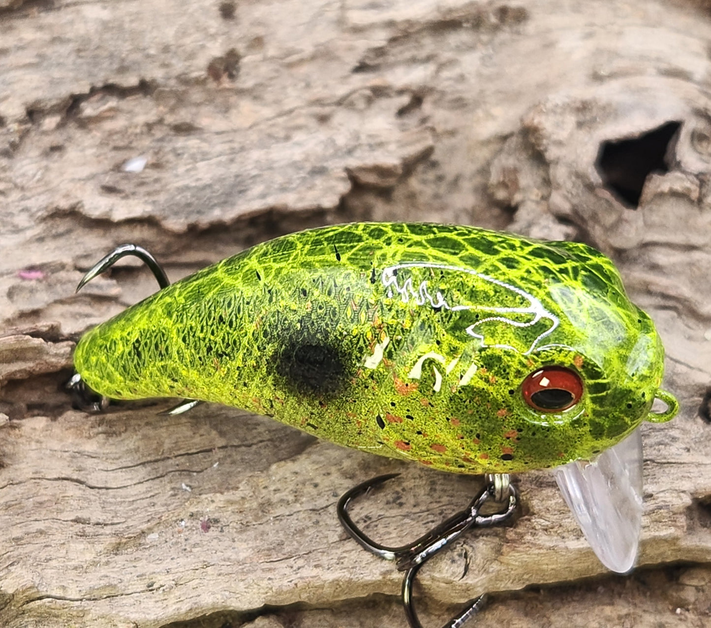 Bass Pro XPS Egg Wake ko