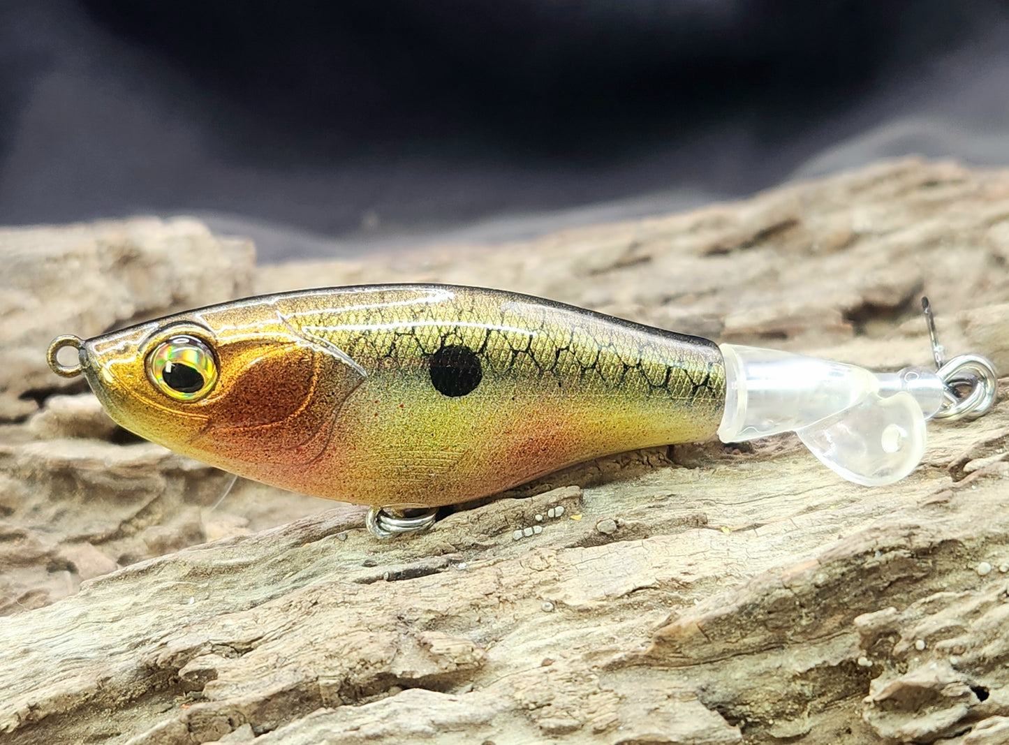 Show Me Creeks Bundle