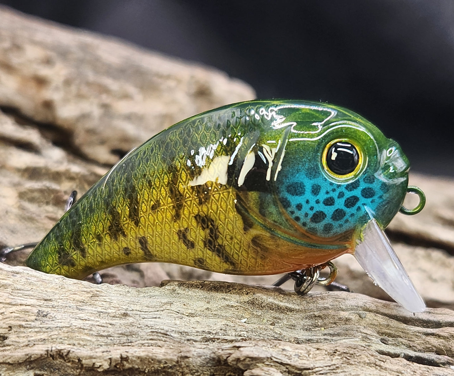 Bass Pro XPS Egg Wake ko