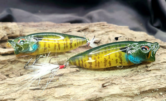Megabass PopMax ko
