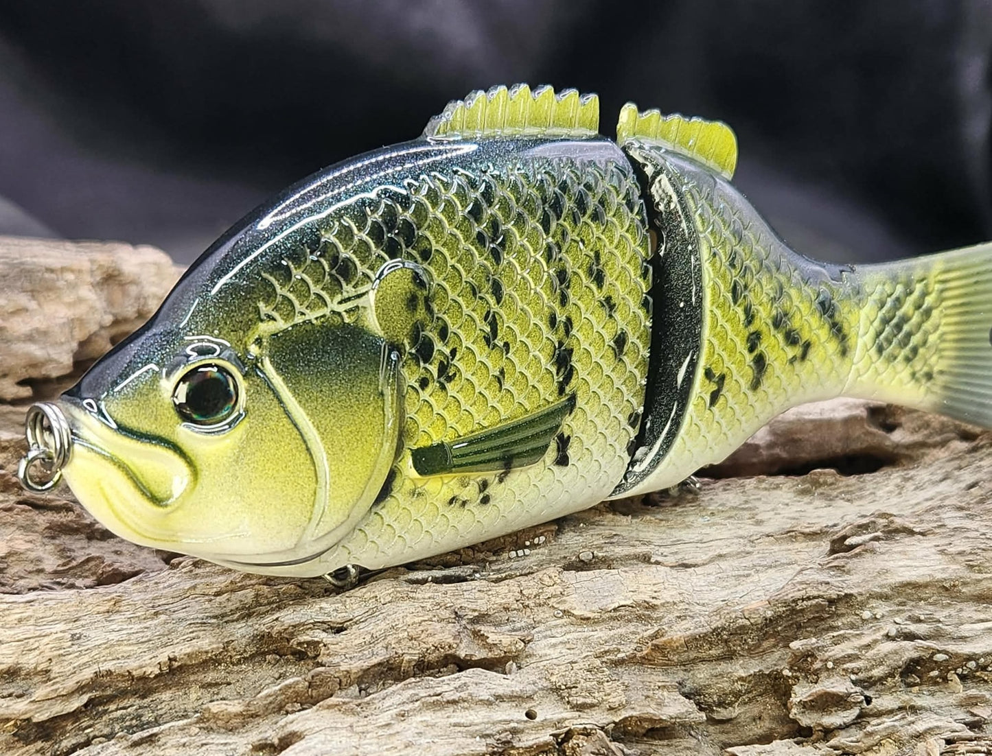 Baitsanity Explorer Gill repaint