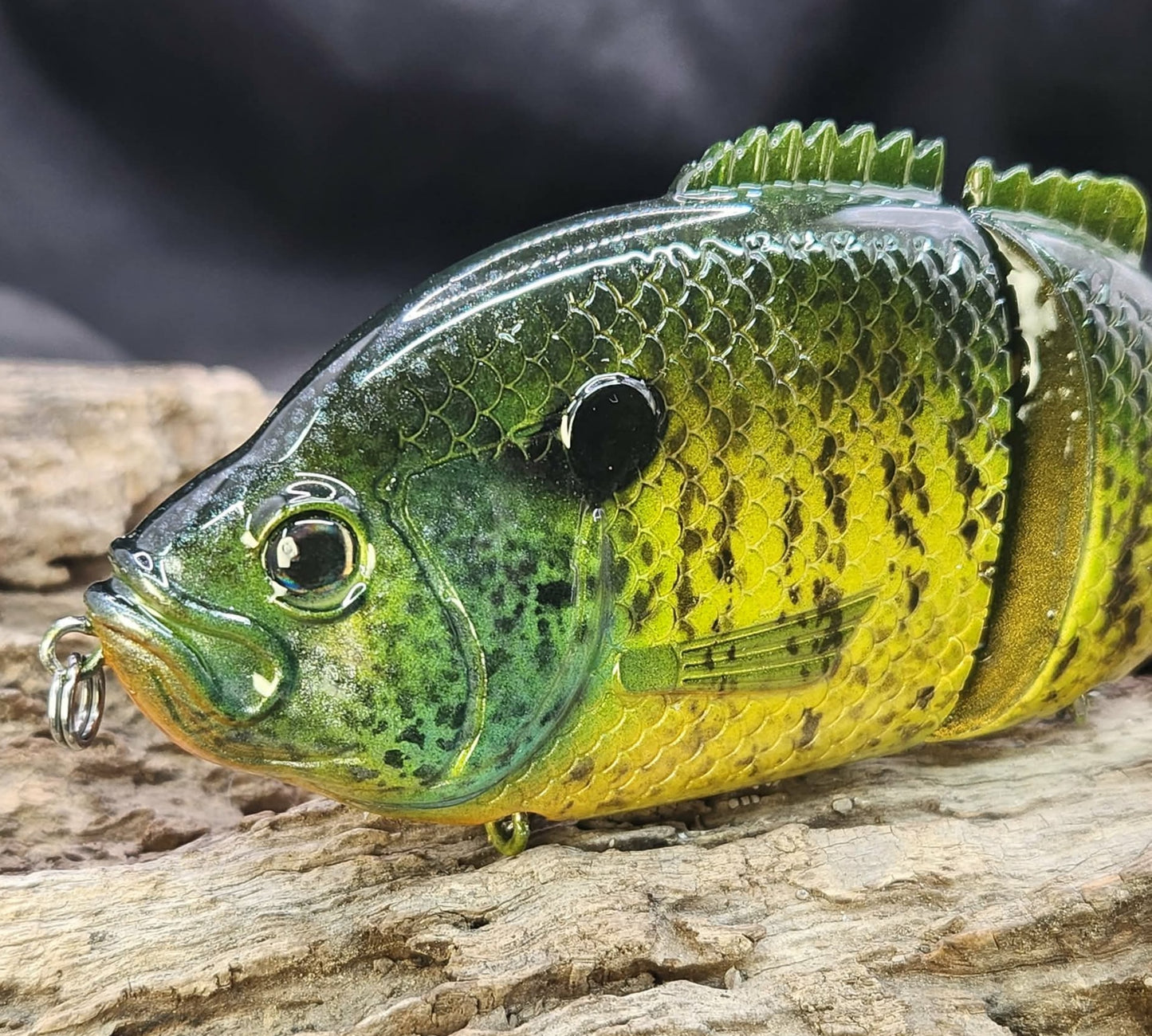 Baitsanity Explorer Gill repaint