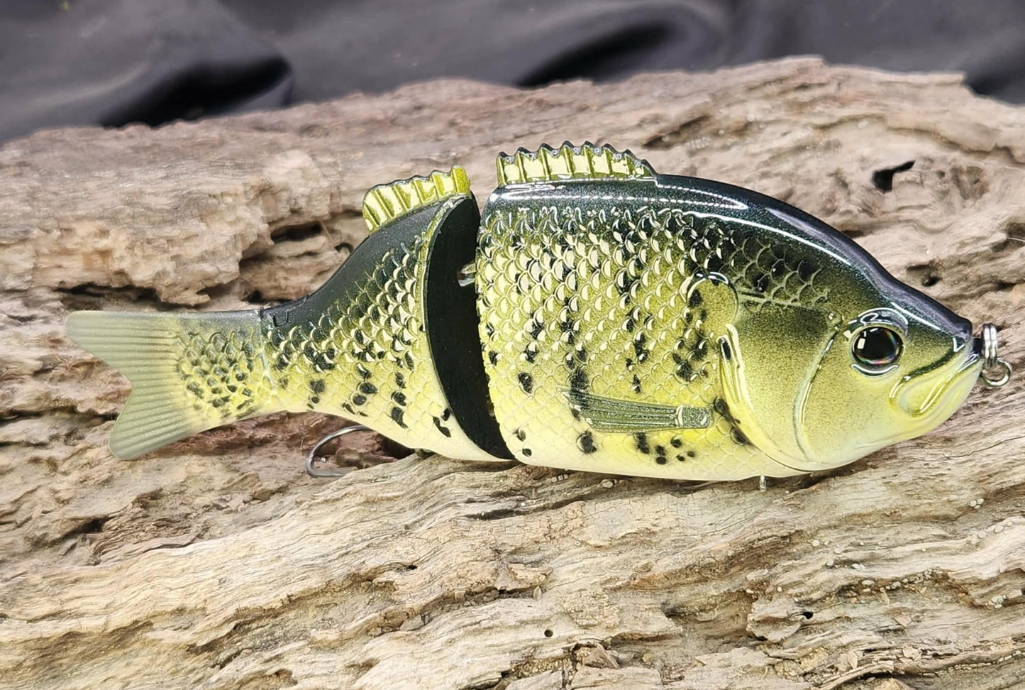 Baitsanity Explorer Gill repaint