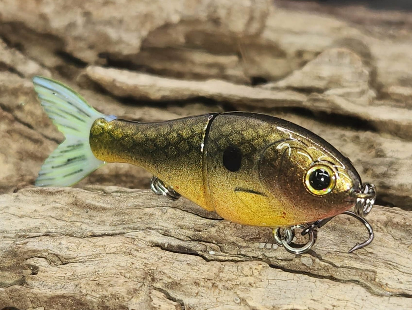 Bucca 2.5" BFS Trick Shad