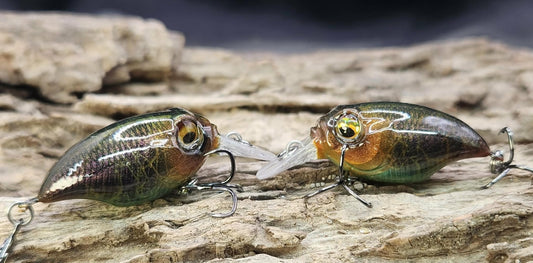 Megabass Griffon ko BFS