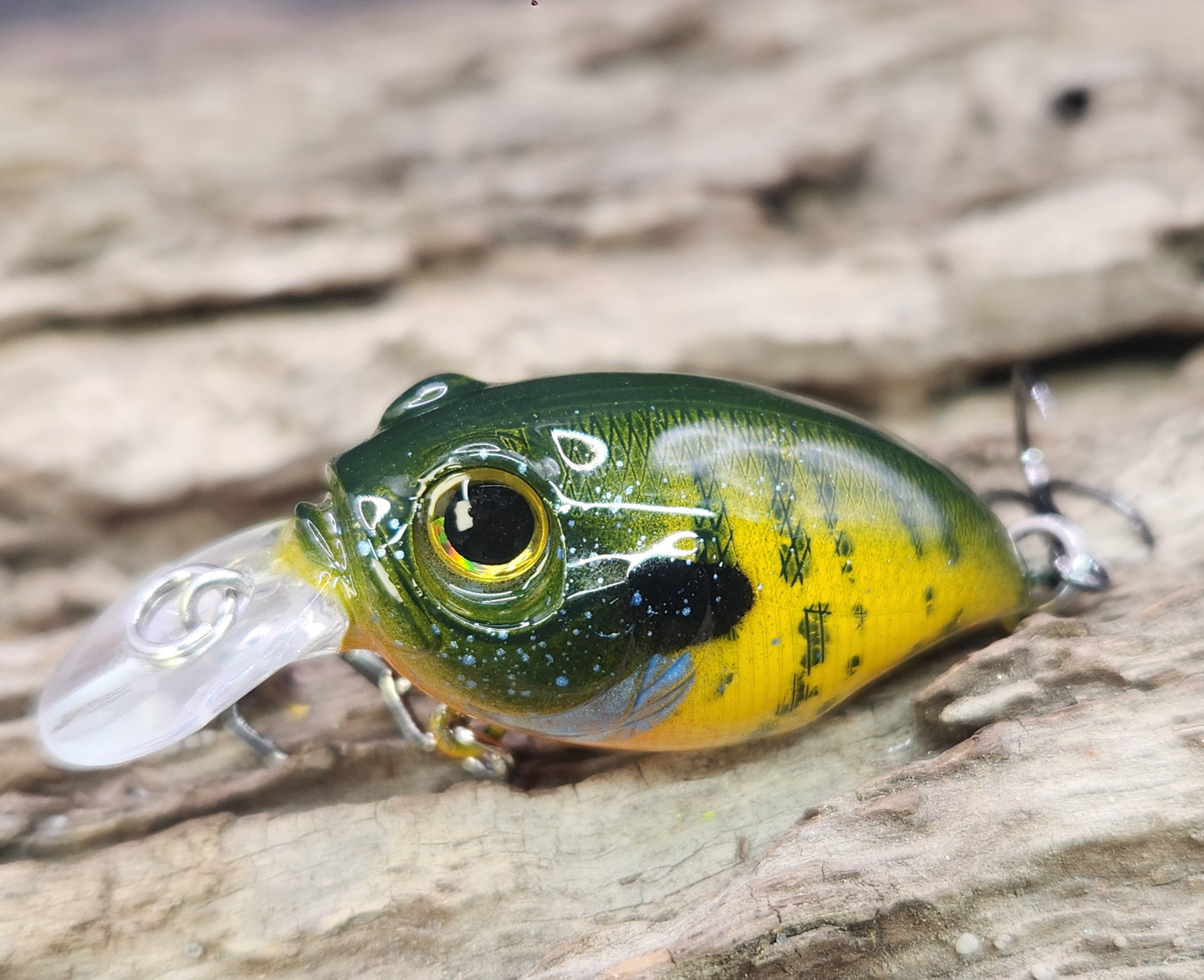Megabass Griffon ko
