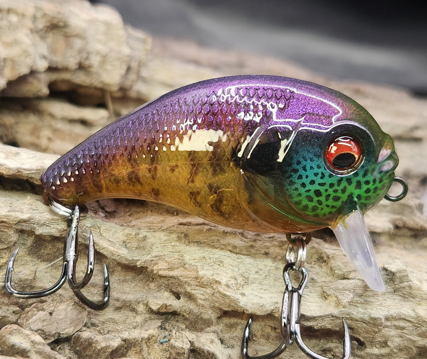 Bass Pro XPS Egg Wake ko