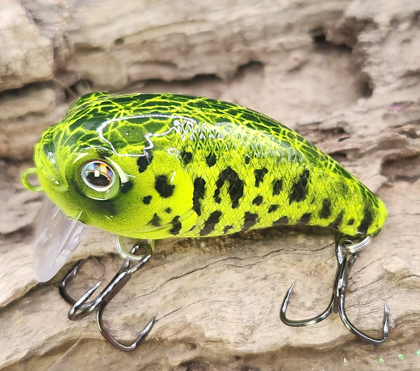 Bass Pro XPS Egg Wake ko