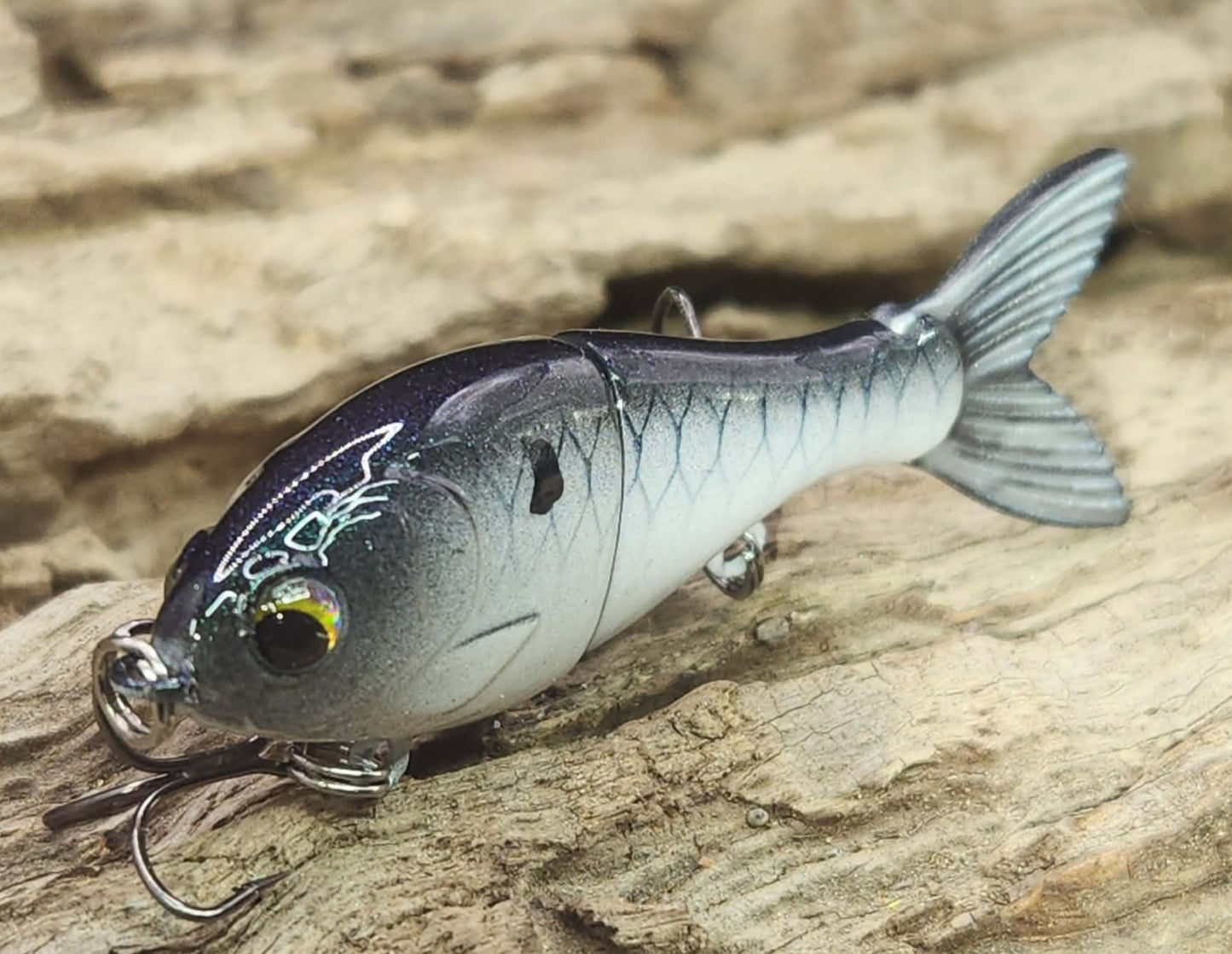 Bucca 2.5" BFS Trick Shad