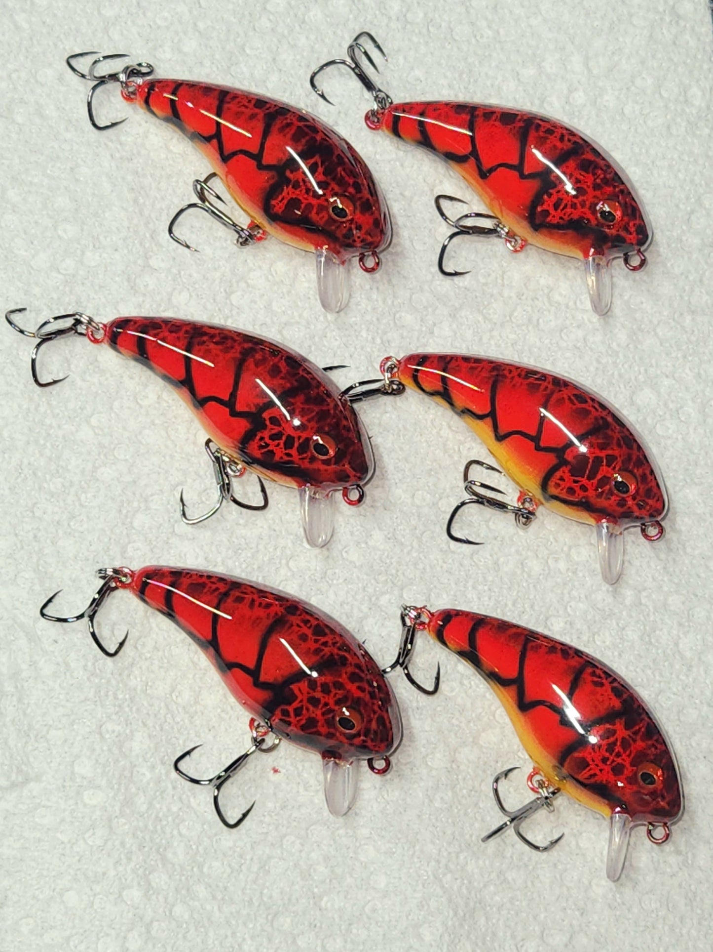 Olson Bundle
