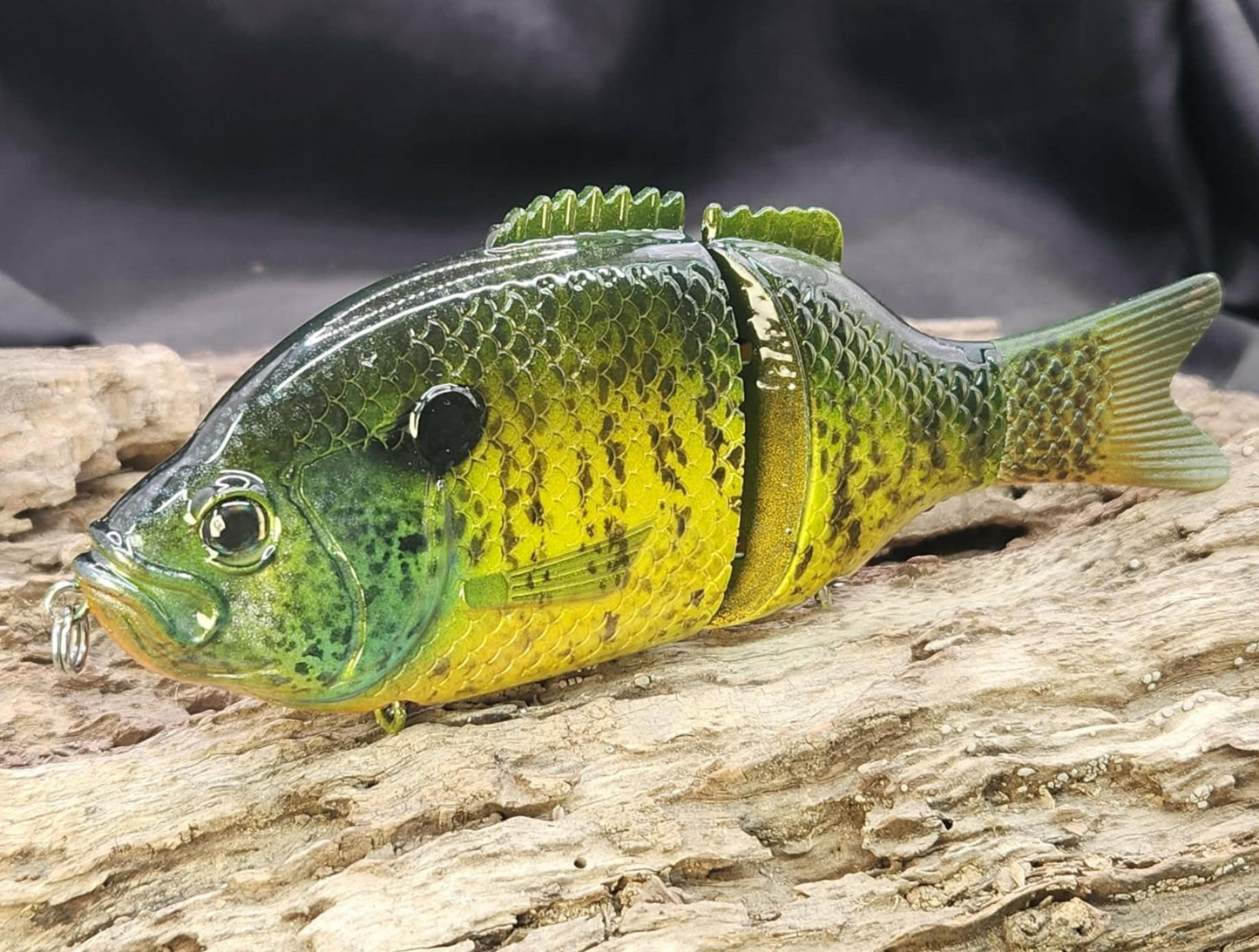 Baitsanity Explorer Gill repaint