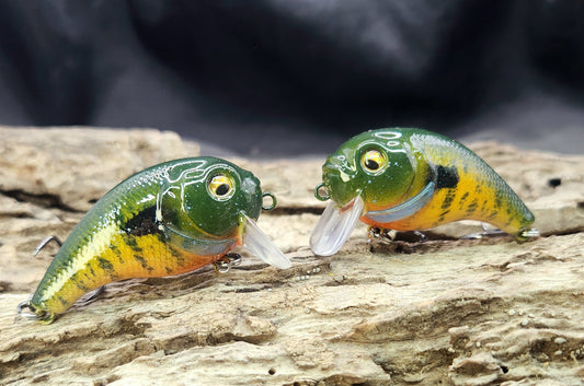 Bass Pro XPS Egg Wake ko