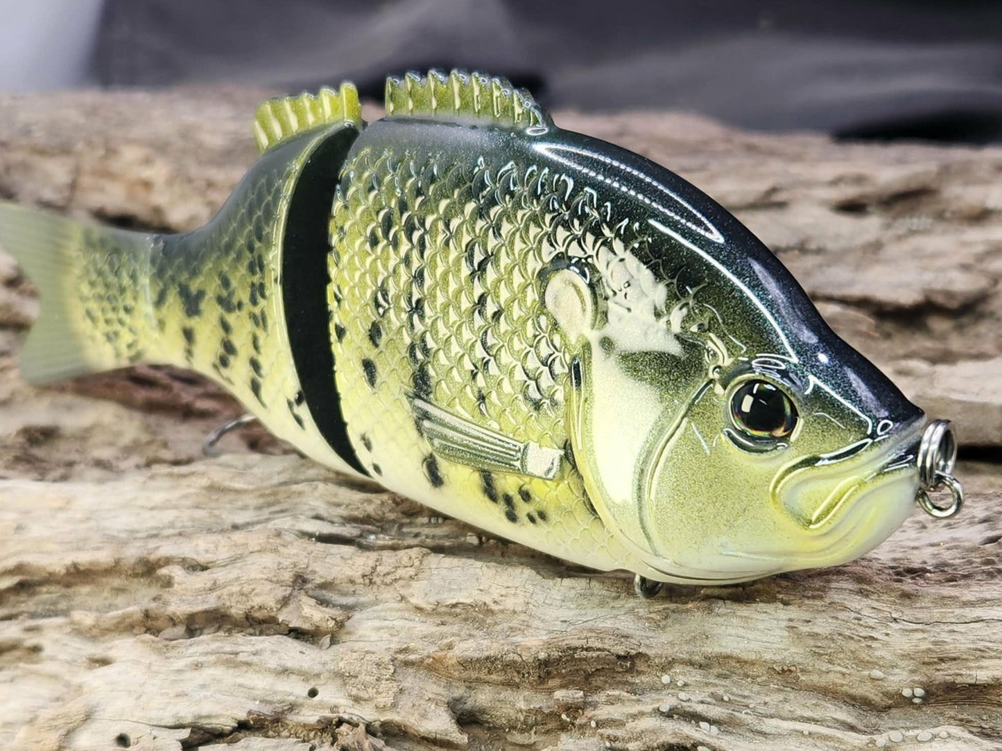 Baitsanity Explorer Gill repaint