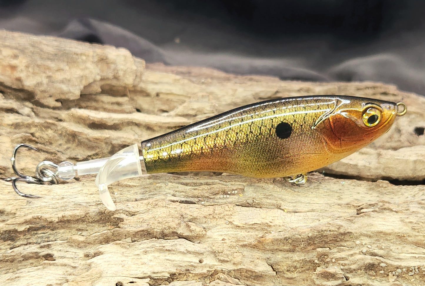 Show Me Creeks Bundle