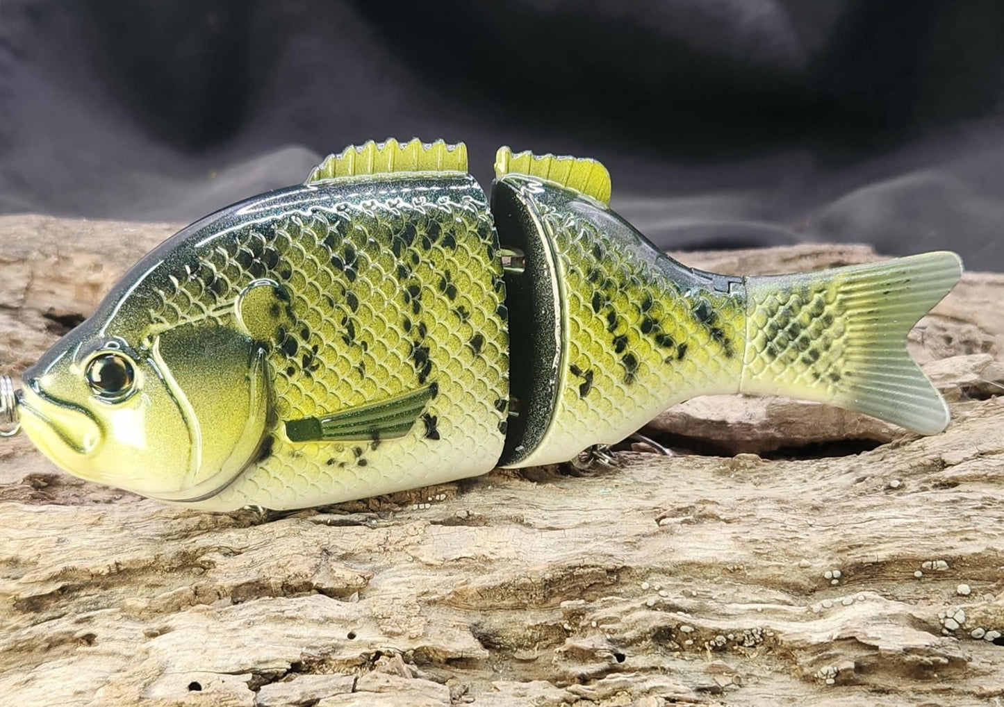 Baitsanity Explorer Gill repaint