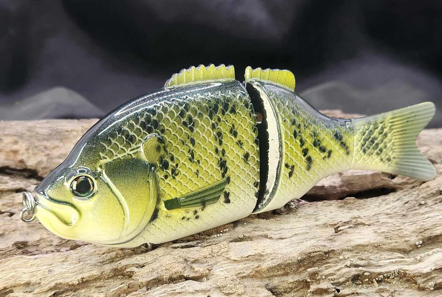 Baitsanity Explorer Gill repaint